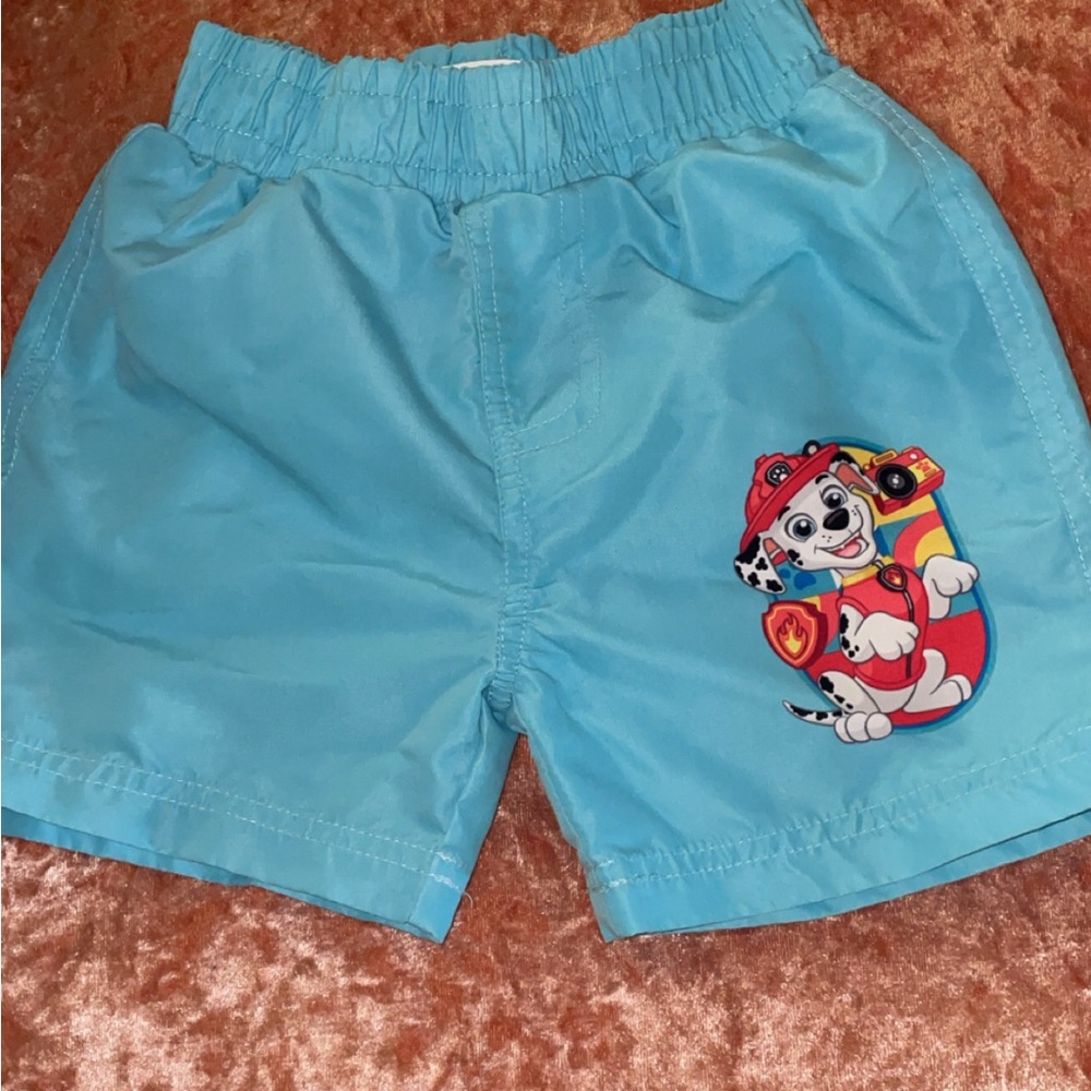 Paw Patrol Light Blue Kids Shorts